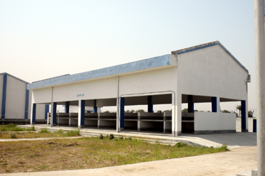 Auction Platform,Kaliganj Krishak Bazar